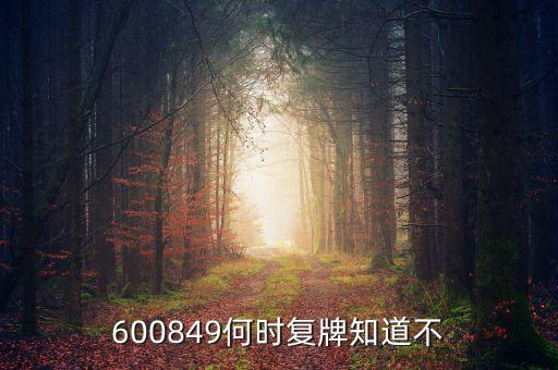 儀電b股什么時(shí)候復(fù)牌，600849何時(shí)復(fù)牌知道不