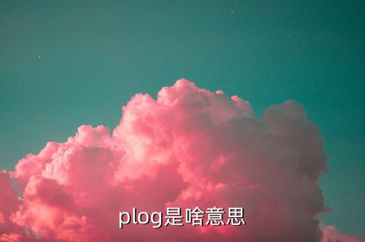 plog是啥意思