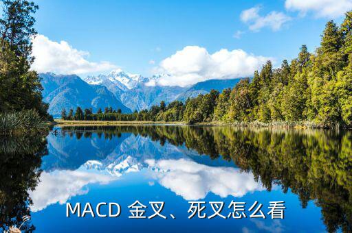 MACD 金叉、死叉怎么看