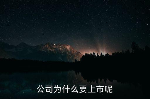 公司為什么上市，公司為什么要上市呢