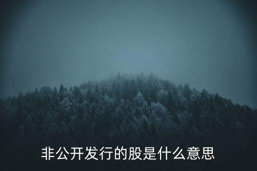 非公開發(fā)行的股是什么意思