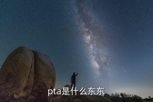 pta行業(yè)是什么，pta是什么東東