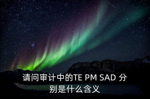 請(qǐng)問(wèn)審計(jì)中的TE PM SAD 分別是什么含義