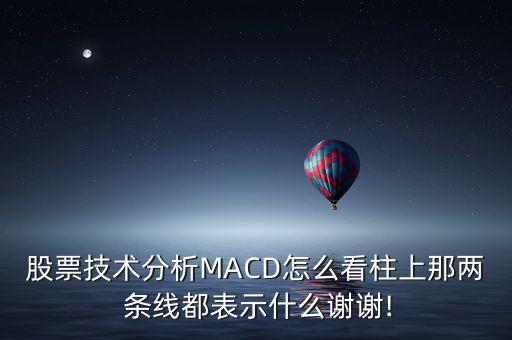 股票技術(shù)分析MACD怎么看柱上那兩 條線都表示什么謝謝!