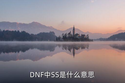 ngbss是什么，DNF武器cc和ss是指什么請?jiān)敿?xì)解釋