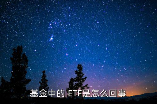 怎么投資中小板ETF,交易所交易指數(shù)基金簡(jiǎn)稱etf"