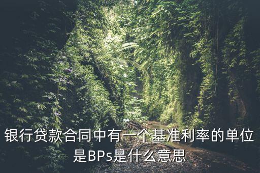 利率bps是什么意思，BPS是什么