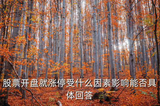 股票開(kāi)盤(pán)就漲停受什么因素影響能否具體回答