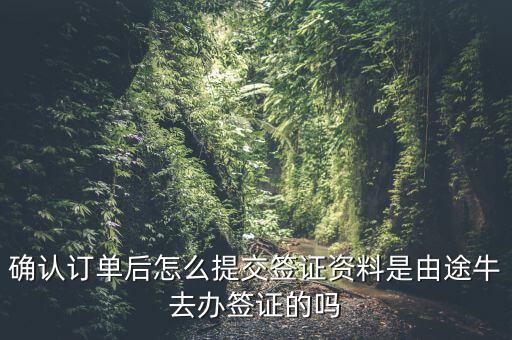 為什么途牛金服資料提交不了，申請途牛額度的資料怎么填寫我填的都是真的也很全啊但是一提