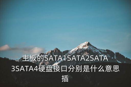 主板的SATA1SATA2SATA3SATA4硬盤接口分別是什么意思插