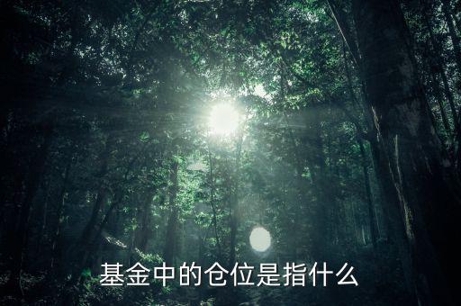 基金中的倉(cāng)位是指什么