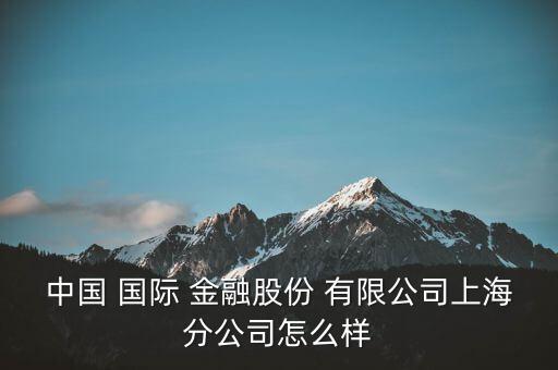 中國 國際 金融股份 有限公司上海分公司怎么樣