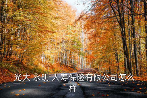 光大永明人壽怎么樣,光大永明人壽保險股份有限公司怎么樣?