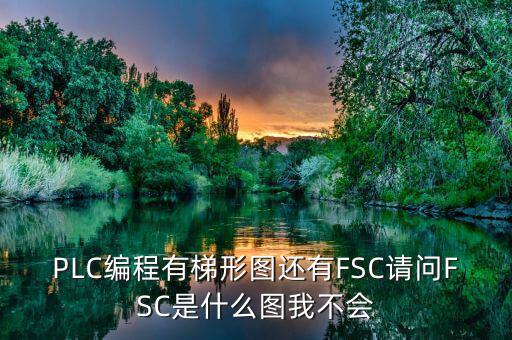 PLC編程有梯形圖還有FSC請問FSC是什么圖我不會(huì)