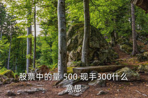 股票中的量 500 現(xiàn)手300什么意思