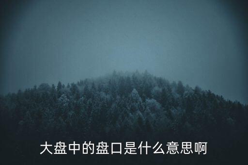 大盤(pán)中的盤(pán)口是什么意思啊