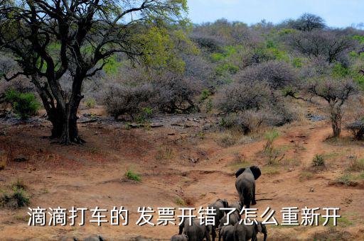  滴滴打車的 發(fā)票開錯(cuò)了怎么重新開