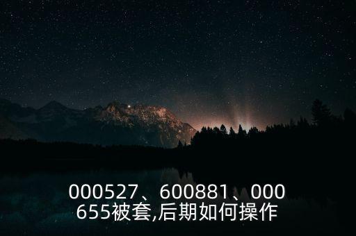 000527、600881、000655被套,后期如何操作