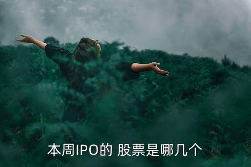 本周IPO的 股票是哪幾個(gè)