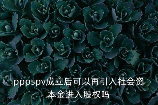 spv公司是什么意思，spv公司是獨(dú)立法人