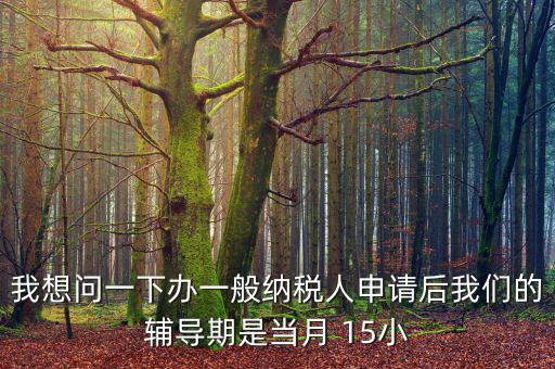 我想問一下辦一般納稅人申請后我們的輔導(dǎo)期是當(dāng)月 15小