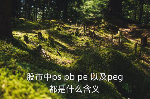 股市peg是什么意思，請(qǐng)問(wèn)在股市里的PEG是什么意思和股價(jià)的關(guān)系怎樣多謝