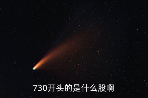 730開頭的是什么股啊