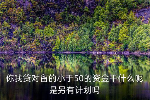 你我貸為什么我要投2萬(wàn)才能減50，你我貸對(duì)留的小于50的資金干什么呢是另有計(jì)劃嗎