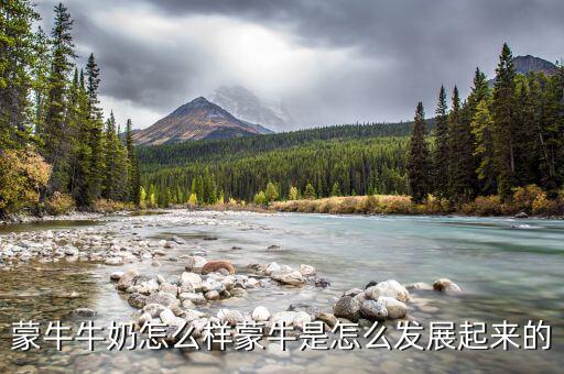 蒙牛為什么會(huì)走向全國(guó)，好想知道蒙牛最近怎么了怎么今年市場(chǎng)份額占比這么大