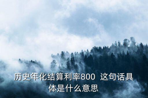 年化結(jié)算利率是什么，歷史年化結(jié)算利率800  這句話具體是什么意思