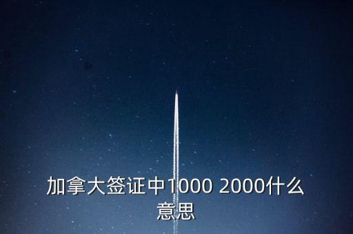 加拿大簽證中1000 2000什么意思