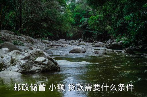 郵政儲(chǔ)蓄 小額 貸款需要什么條件