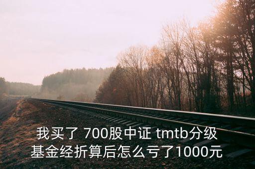 tmtb基金是什么股票，我買了 700股中證 tmtb分級基金經折算后怎么虧了1000元