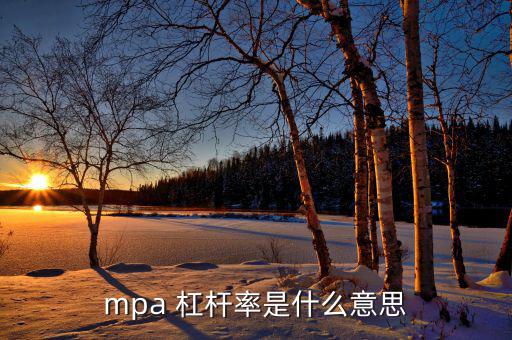 mpa 杠桿率是什么意思