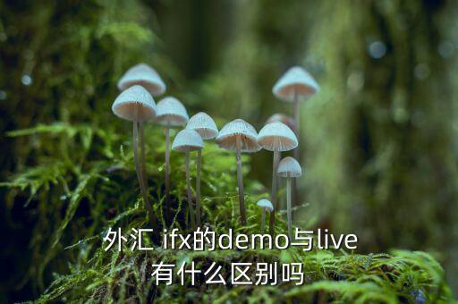  外匯 ifx的demo與live有什么區(qū)別嗎