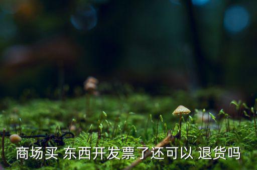 商場(chǎng)買 東西開發(fā)票了還可以 退貨嗎