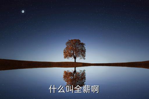 全薪是什么意思，咨詢一下全薪指的是基本工資獎(jiǎng)勵(lì)嗎