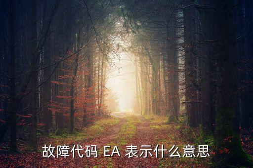 華泰ea什么意思，故障代碼 EA 表示什么意思