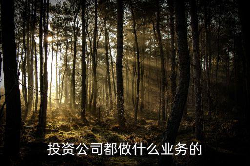 投資公司都做什么業(yè)務的