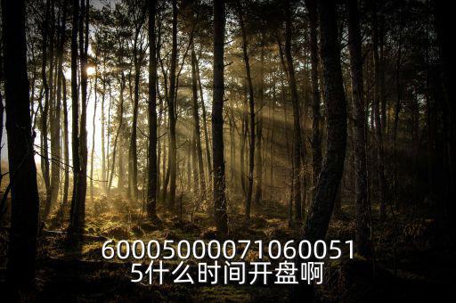 600050000710600515什么時(shí)間開盤啊