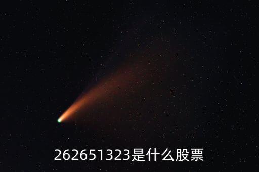 208393股票是什么，262651323是什么股票