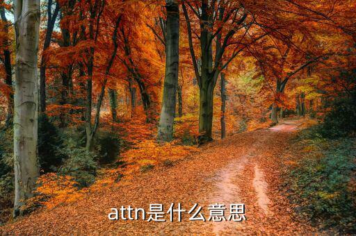 丙方是什么意思，attn是什么意思