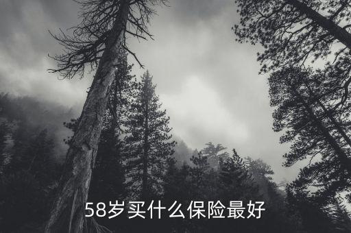 58歲女性做什么保險(xiǎn)，58歲女性可以辦哪些保險(xiǎn)啊