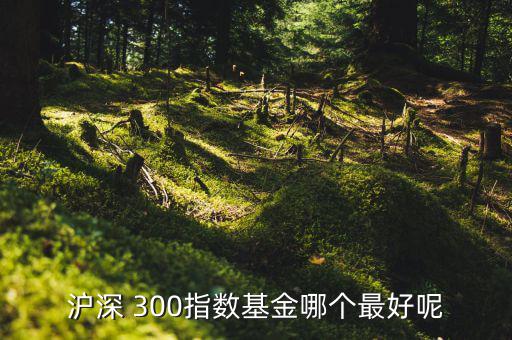 南方滬深300怎么樣,四只理財(cái)有戲!