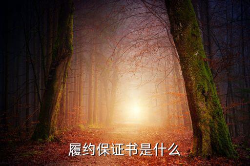 履約保證書(shū)是什么