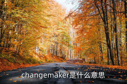 changemaker是什么意思