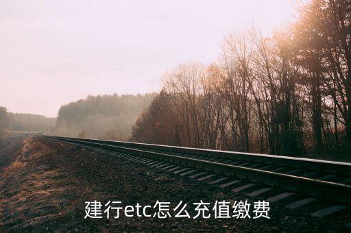 建行etc卡怎么收費,中國建設銀行提供在線充值和支付服務