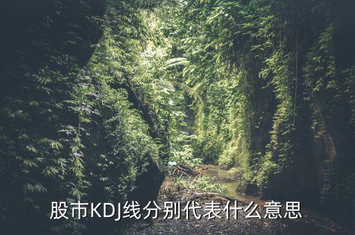 股票中的kdj代表什么，股票指標的KDJ是什么意思