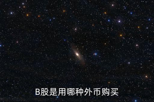 b股分紅支付什么貨幣，B股是用哪種外幣購買