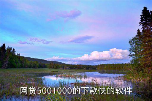 什么平臺(tái)能快速借500，網(wǎng)貸5001000的下款快的軟件